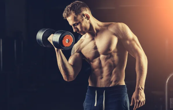 Muscle, muscle, bodybuilding, press, dumbbells, bodybuilder, abs, dumbbells