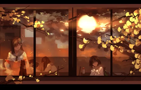 The sun, branches, window, class, school, Schoolgirls, black cat