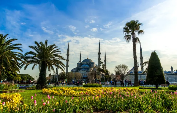 The sky, the sun, clouds, flowers, palm trees, people, tulips, Istanbul