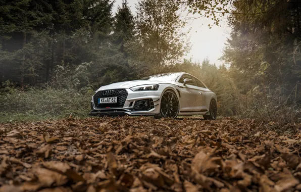 Audi, rs5, ABBOT, rs5-r