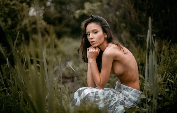 Chest, girl, pose, green, sweetheart, body, portrait, brunette