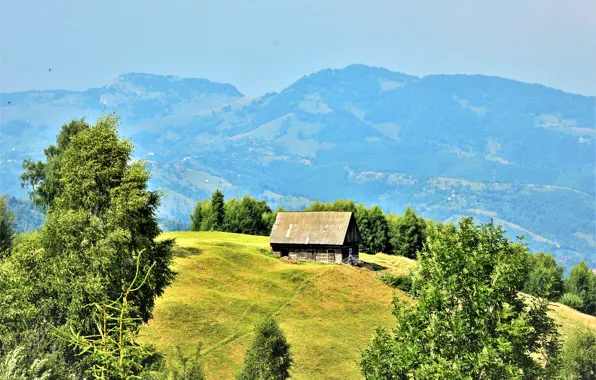 Greens, grass, the sun, trees, mountains, field, house, forest
