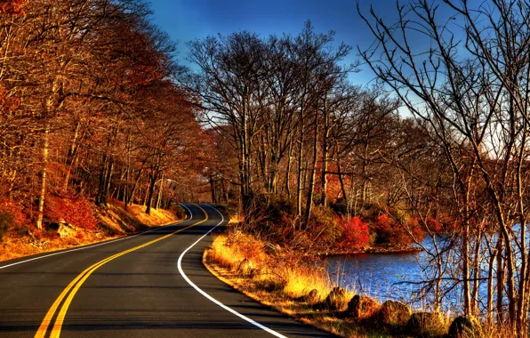 Road, autumn, forest, leaves, water, trees, nature, river