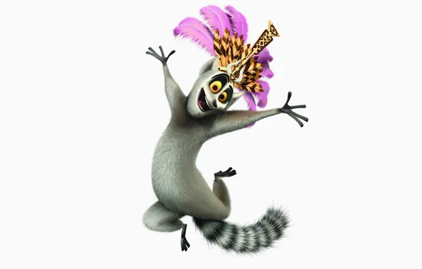 Picture white background, Madagascar, Madagascar, Julian, the king of the lemurs, a ring-tailed lemur