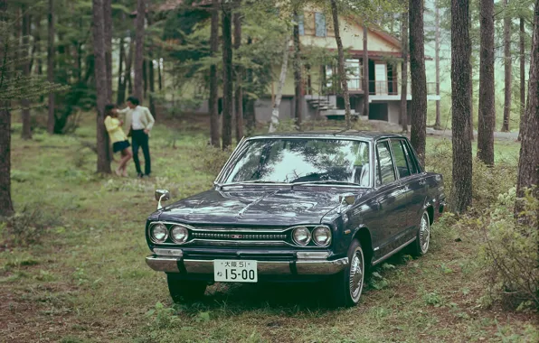 Car, Nissan, trees, Skyline, Nissan Skyline 1500