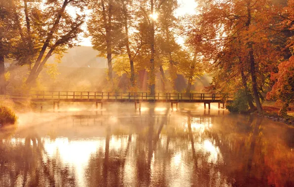 Picture autumn, leaves, water, the sun, light, trees, bridge, nature