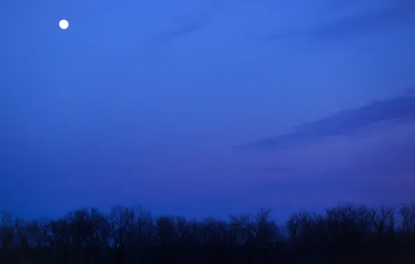 Picture the sky, clouds, trees, night, the moon, Field, blue