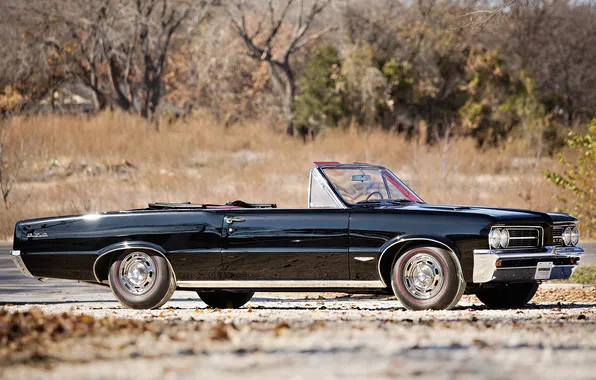 Convertible, Pontiac, GTO, Pontiac, 1964, retro cars, Convertible, LeMans