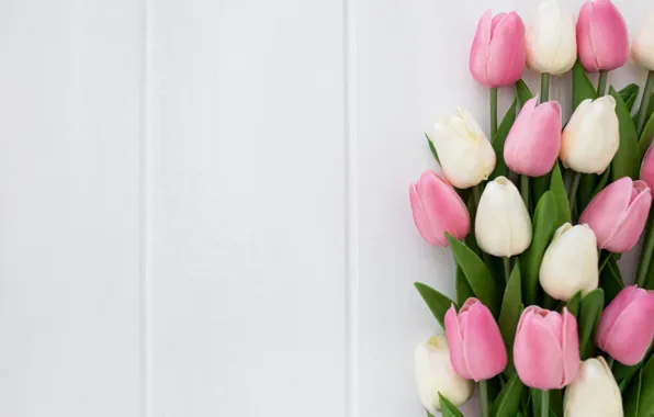 Picture flowers, bouquet, tulips, pink, white