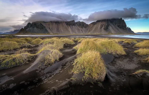 Picture beach, iceland, Vestra Horn Dunes