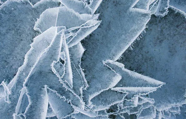 Ice, macro, Canada, Albert, crystals, lake Abraham, Clearwater County