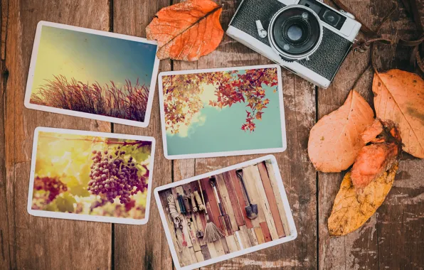 Picture autumn, leaves, photo, background, camera, colorful, happy, wood