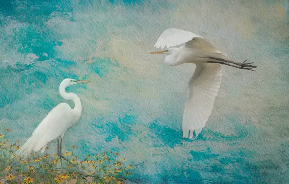 Birds, treatment, pair, blue background, Heron, herons
