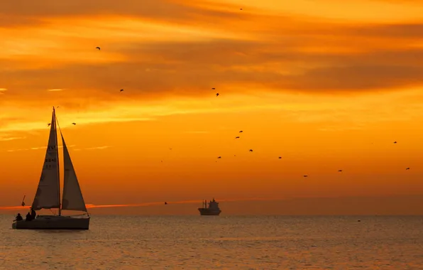 Sea, the sky, sunset, birds, clouds, ship, the evening, yacht