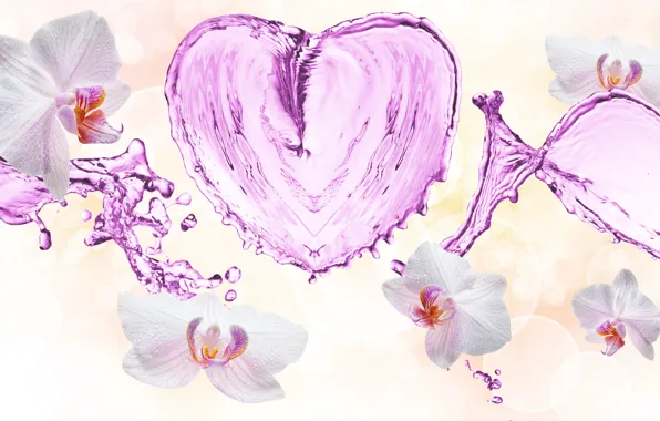 Water, drops, flowers, squirt, pattern, heart, orchids