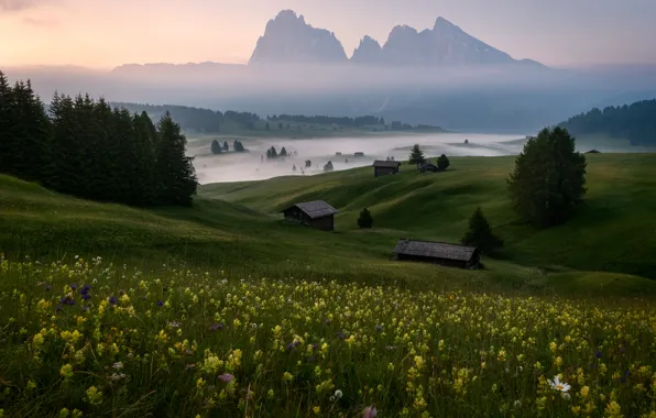 Forest, mountains, fog, Alps, meadow, house