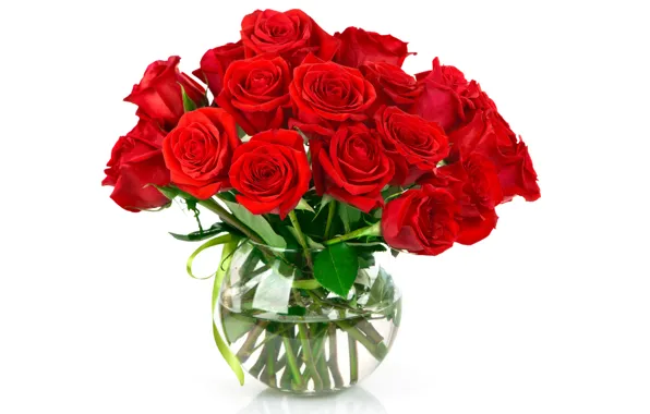 Bouquet, red, water, roses, Bank
