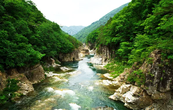 Picture trees, landscape, mountains, river, rocks, Japan, Japan, rivers