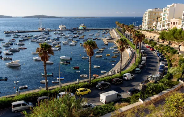 Picture sea, palm trees, coast, yachts, boats, promenade, Malta