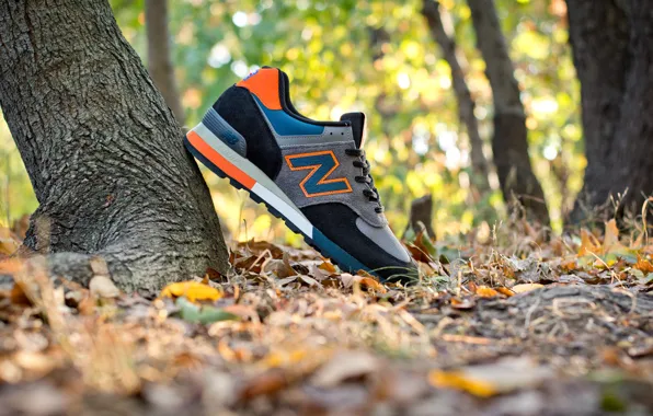 Picture sneakers, New Balance, 576EBO Three Peaks