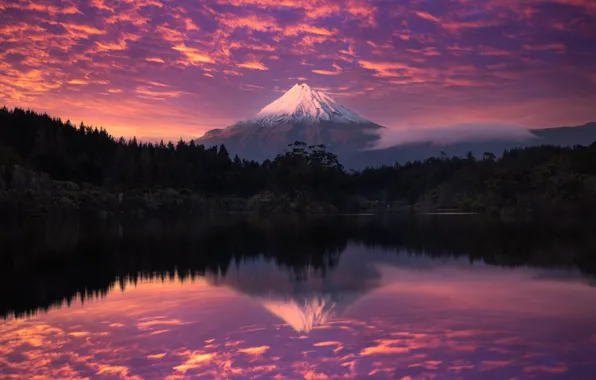 Picture forest, sky, trees, nature, clouds, lake, purple, reflection