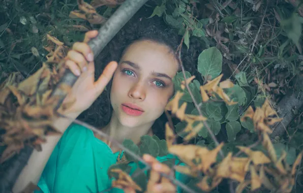 Picture look, branches, face, the situation, Antonia