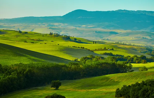 Greens, grass, trees, mountains, field, Italy, panorama, meadows