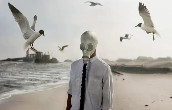 Birds, people, gas mask