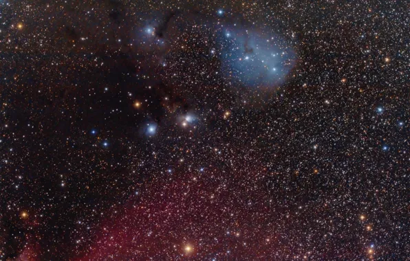 Nebula, in the constellation, IC 447, reflective, Unicorn