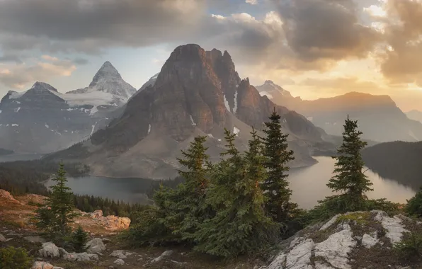 Forest, trees, landscape, mountains, clouds, nature, river, stones