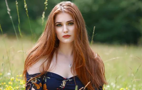 Picture look, girl, hair, meadow, brown hair, redhead brown-haired
