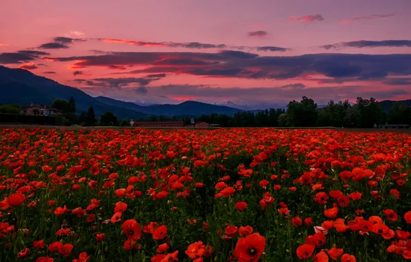 The sky, clouds, trees, sunset, mountains, clouds, hills, Maki