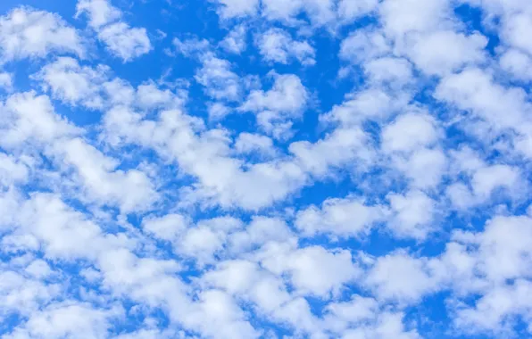 The sky, clouds, nature