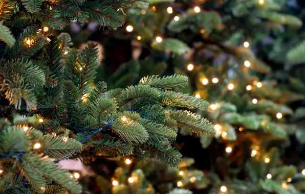 New Year, Christmas, merry christmas, decoration, xmas, fir tree
