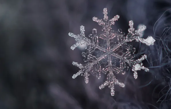 Crystal, snow, snowflake