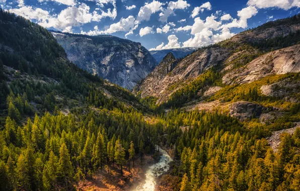 Picture Tuolumne Meadows, mountains, trees, CA, gorge, river, clouds, the sky, rocks, for, stones, USA