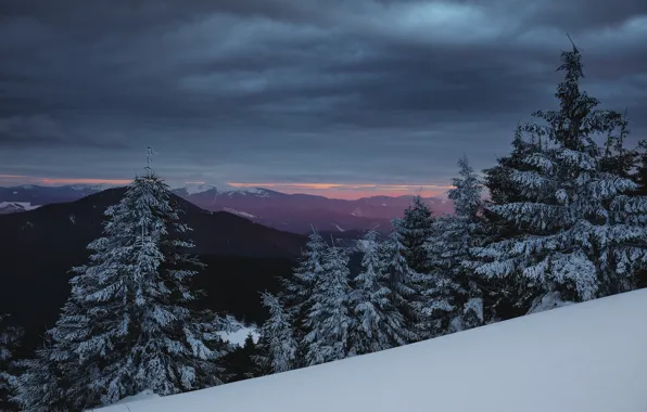 Picture winter, snow, trees, landscape, sunset, mountains, nature, ate