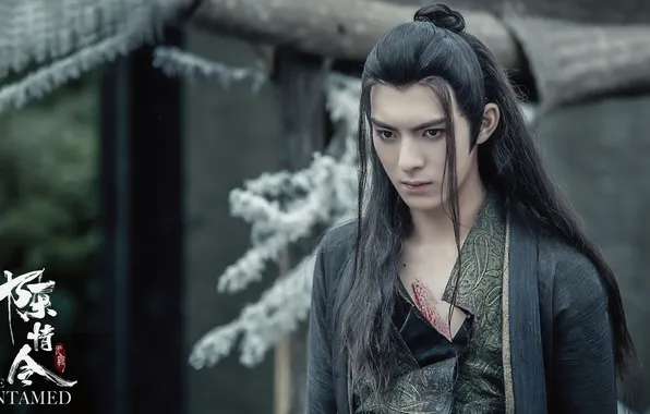 Drama, The Indomitable Lord of Chenqing, Wang Hao Xuan, Xue Yang, Xue Yang, Wang Hao …