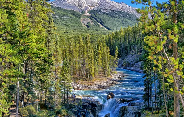 Wallpaper forest, mountains, river, waterfall, Canada, Albert, Alberta ...