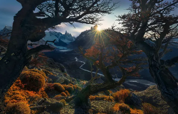 Autumn, the sun, trees, mountains, branches, foliage, the slopes, height
