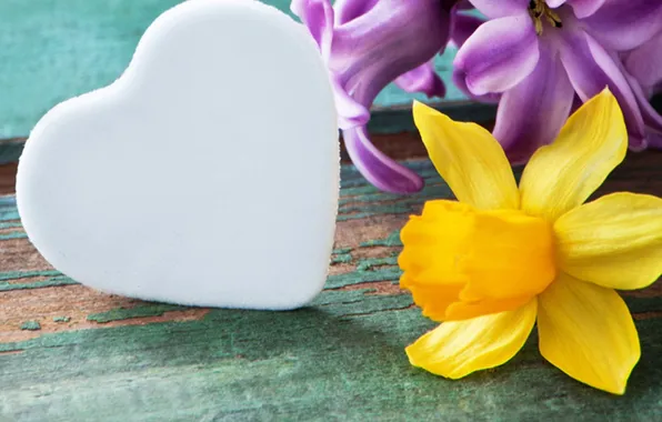 Flowers, heart, spring