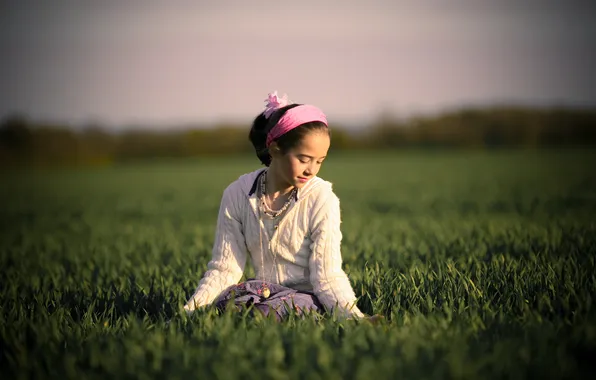 The sky, grass, look, the sun, light, joy, heat, mood