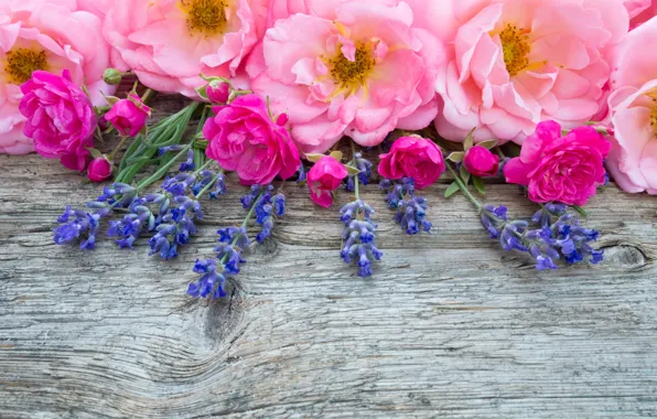 Picture flowers, pink, buds, wood, pink, flowers, lavender, bud