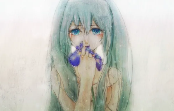Picture tears, blue eyes, grey background, hatsune miku, long hair, vokaloid, iris