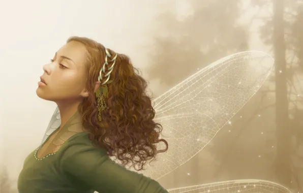 Girl, elf, Wings