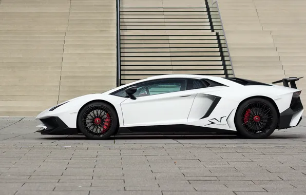 Lamborghini, White, Aventador, Superveloce