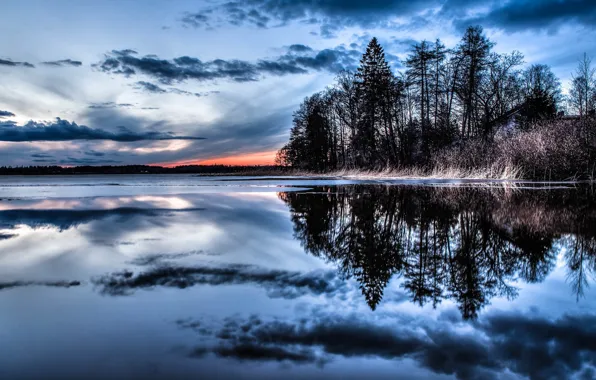 The sky, water, clouds, trees, nature, reflection, Forest
