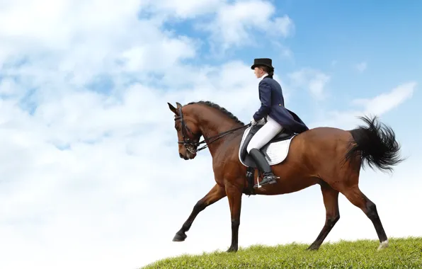 Field, the sky, girl, horse, horse, rider, lady