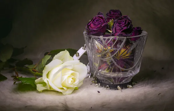 Picture white, purple, flowers, the dark background, roses, bouquet, fur, chain