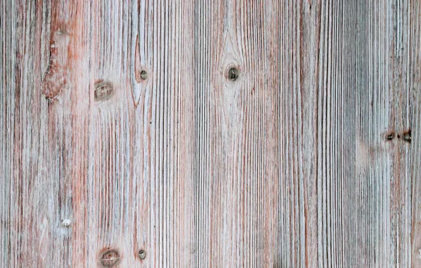 Laminate, finish, under the tree